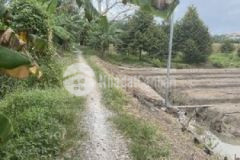 Dt 3770m cach nguyên văn cư khoan 500m