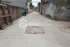 Đất mai đình 100m2 đường 6m gần tỉnh lộ 131