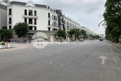 Chính chủ gửi bán 3 căn shophouse chân đế tòa chung cư blue star trâu quỳ, gia lâm.