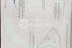 Đất mộc châu giá rẻ chỉ vài trăm nghìnm2 sở hữu anh