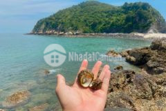 Đất nền cô tô, giá rẻ, view mặt biển khai thác du lịch 4 mùa