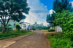 Cần bán đất mặt tiền lam sơn biển hồ 115 triệum ngang