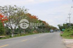 Quá kẹt nên cần bán gấp đất mặt tiền đường tl 877