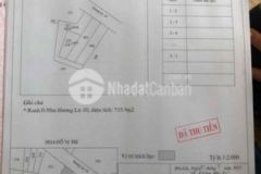 Mặt tiền hoàng phan thái