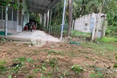 Mặt tiền t lộ 887 tân hào đền thờ đồng văn cống