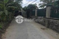 Nhà vô ở liền giá hữu nghị