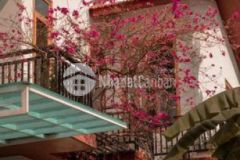 Nhà kim long đẹp xây tâm huyết cần nhượng lại