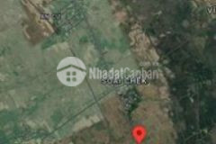 Bán 500m2 đất mặt tiền có 200 thổ cư