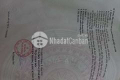 Cần tiền bán sớm lô đất mặt tiền tl 887