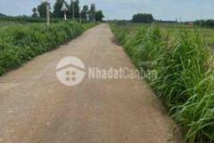 Bán lô đất đường bê tông xuân đông cẩm mỹ