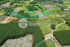 Hàng hiếm ngay hương lộ 62 diên khánh chỉ 280km2