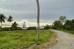 Hẻm nhánh 925 vào 400m. cách bv số 10, chợ cái chanh