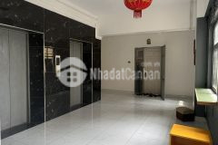 Cực hiếm ccmn trần đăng ninh 82m2 vị trí đỉnh ở ngay 2.8 tỷ