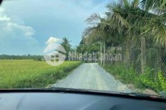 Bán đât thổ cư xóm bố hiệp thạnh gò dầu 15x33m