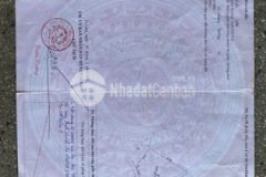 Lô đất sào thuộc thị trấn iakha 1813m2 giá 180tr