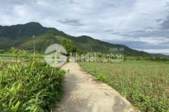 Đất vườn hòa bắc gần khu hành chính xã hòa bắc