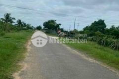 Cần bán 5 sào đất có 300m2 thổ cư gần quốc lộ 1a