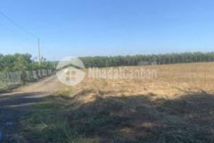 Bán đất lộc tấn khu cụm công nghiệp hoa lư