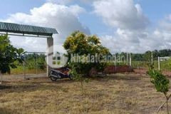 Bán 1000m2 đất vườn đường vườn thơm hbc