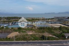 Chính chủ bán 300m2 mặt tiền ql1a đặc khu kinh tế bắc vân phong