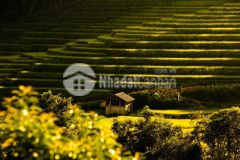 Đất nền y tý sapa 2, giá chỉ từ 1trm2 cơ hội cho nhà đầu tư giá rẻ