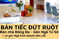Nhà kinh doanhbán nhà đống đa ngõ kinh doanh sầm uất 52m2 mặt tiền 5.8m 5 tỷ 5