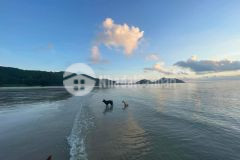 Đất nền minh châu vân đồn, đón sóng khu nghỉ dưỡng 5 sao của sungroup