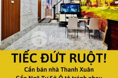 Tiếc đứt lòng xào dưa chính chủ bán nhà đất thanh xuân ngã tư sở ô tô tránh 49m2 6 tỷ 5