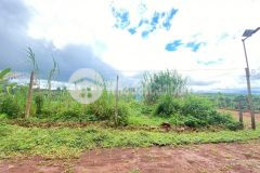 Đất xã diên phú phù hợp làm nhà vườn giá cực tốt