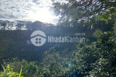 Ban đât nghi dương view rưng thông đương ô tô tân đât