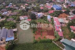 Đón sóng cao tốc, bán mảnh đất 1300m2 tại tt nông trường mộc châu, giá đầu tư