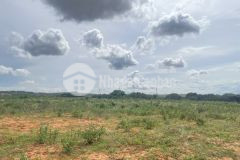 Bán đất gần khu du lịch sinh thái bàu trắng, safari