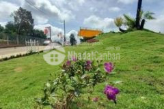 Đất nền tân lạc bảo lộc 5 triêum2 có suối