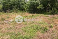 Đất thổ cư túy loan 2 mặt kiệt ngang 22m