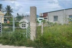 Đất ấp voi bến cầu 7 5 x 14 5 thổ cư 650 triệu