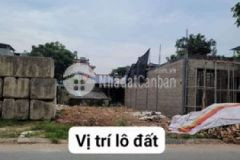 Trục chính hoa trang nguyên