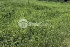 Đất nền đức lập hạ thổ vườn chỉ 2trm2