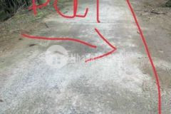 Bán 500m2 đất xã tân thành bình mo cay bac bến tre