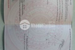 Đất vườn 1 227m2 xuân đông diên xuân diên khánh