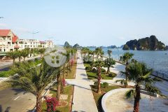 Chính chủ e bán đất cột 5 8 mở rộng bãi tắm hòn gai cột 8 hạ long,quảng ninh