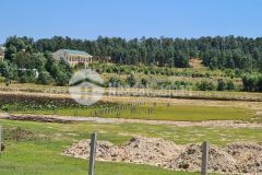 Bán lô đất view đồng thích hợp làm nhà vườn