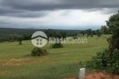 Sổ hòa thắng ven biển 11657m2, sổ sẵn, bao công chứng, xe ô tô chạy vào tận đất