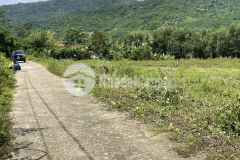 Bán đất khánh hiệp khánh vĩnh giá rẻ mua đầu tư