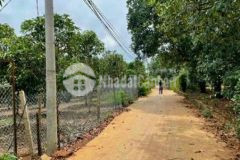 Bán đất vườn trái cây bảo bình cẩm mỹ đồng nai