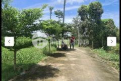 Bán nền thổ cư đường xe hơi tân trạch cần đước