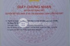 Nhà hẻm xe hơi tân xuân 1