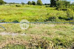 Cần tiền cưới vợ bán mảnh đất vườn 505m2 1ty990