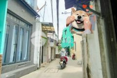 48m2, hẻm 3m, 2 lầu ni sư huỳnh liên tân bình 4.6 tỷ tl