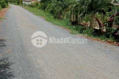 Cần bán gấp 4 lô đất sổ riêng liền kề nhau, sau lưng ủy ban xã,đường dt 795