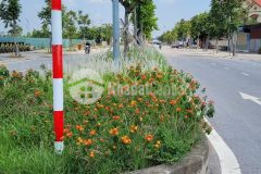 Bán đất mặt đường đôi lương như học, tp hd, 80.8m2, mt 5m, đường hè 25m, kd tốt
